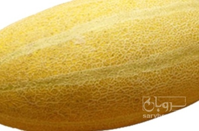 فروش خربزه