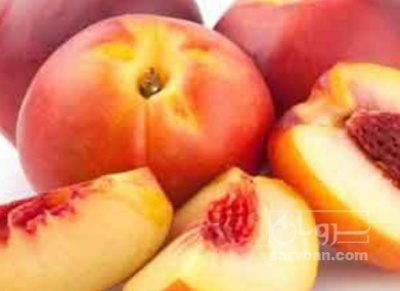فروش شلیل