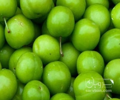 فروش گوجه سبز