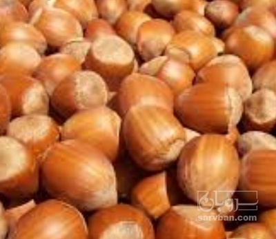 فروش فندق