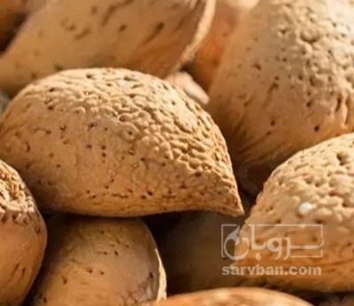 فروش بادام
