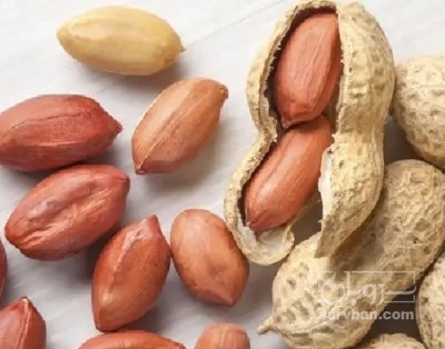 فروش بادام زمینی بو داده