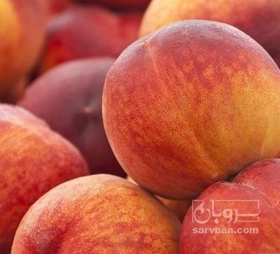 فروش هلو