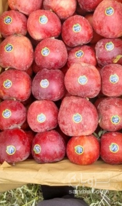 فروش سیب قرمز