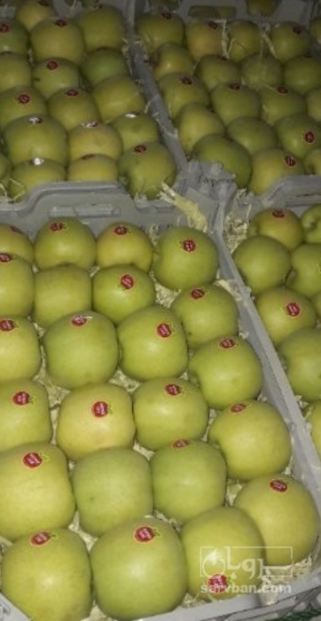فروش سیب زرد