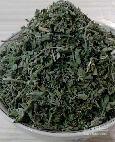 فروش پونه (گیاه‌ دارویی)