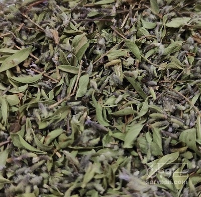 فروش کاکوتی (گیاه‌ دارویی)