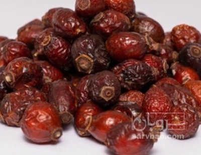 فروش نسترن (گیاه‌ دارویی)