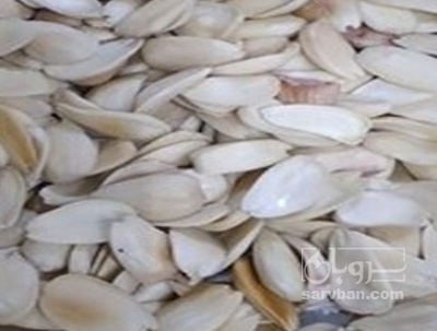 فروش  مغزبادام سفید شده