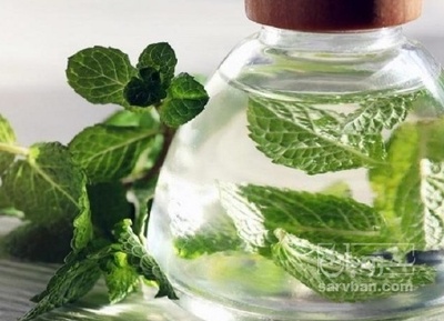 فروش عرق نعناع