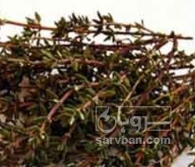 فروش عرق کاکوتی