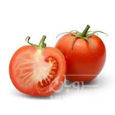 فروش گوجه فرنگی