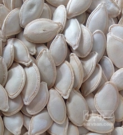 فروش تخمه  کدو بو داده