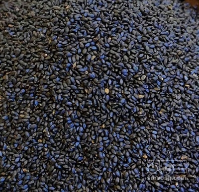 فروش تخم ریحان