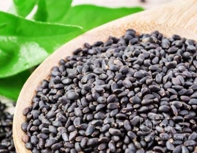 فروش تخم شربتی