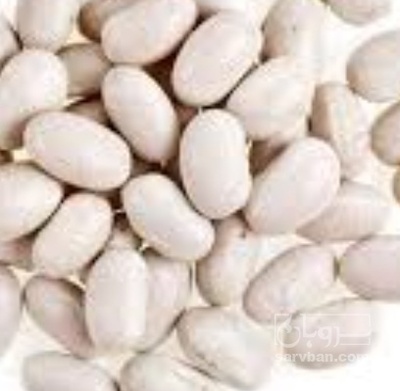 فروش لوبیا سفید