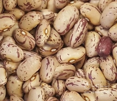 فروش لوبیا چیتی