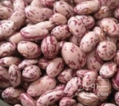 فروش سیب زمینی جلی