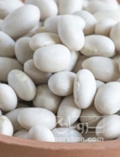 فروش لوبیا سفید