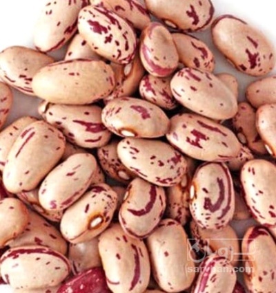 فروش لوبیا چیتی