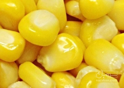 فروش ذرت دانه ایی منجمد