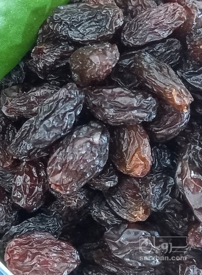 فروش کشمش فخری