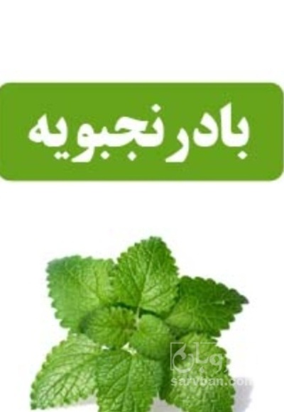 فروش عرق بادرنجبویه