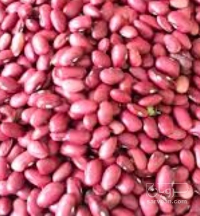 فروش لوبیا قرمز