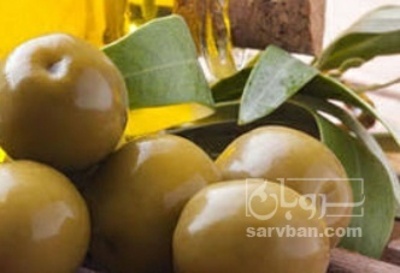 فروش زیتون کنسروی