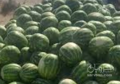 فروش هندوانه گرد