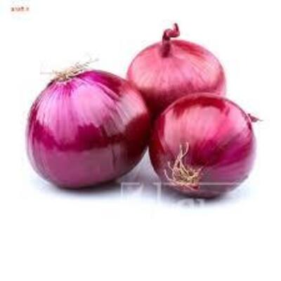 فروش پیاز قرمز
