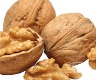 فروش گردو