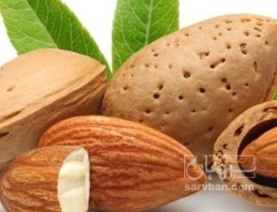 فروش بادام