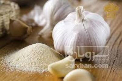 فروش پودر سیر