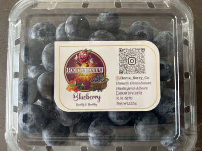 فروش بلوبری