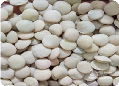 فروش عدس سفید