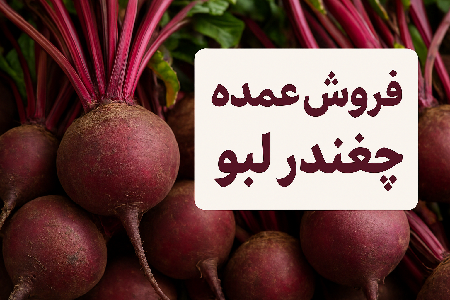 فروش چغندر لبو