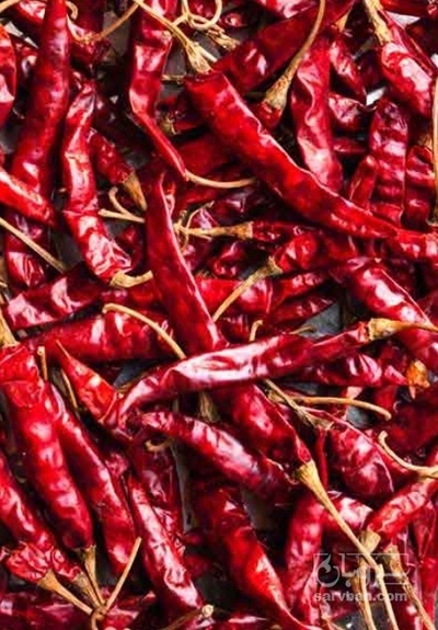 فروش فلفل خشک قرمز