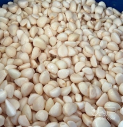 فروش سیر حبه تازه کالباسی