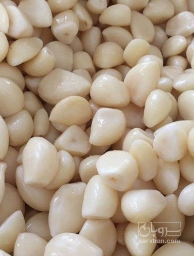 فروش سیر پوست کنده برای ترشی