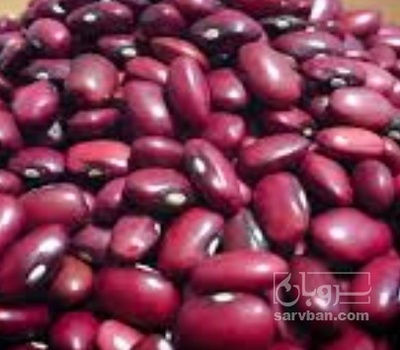 فروش لوبیا قرمز