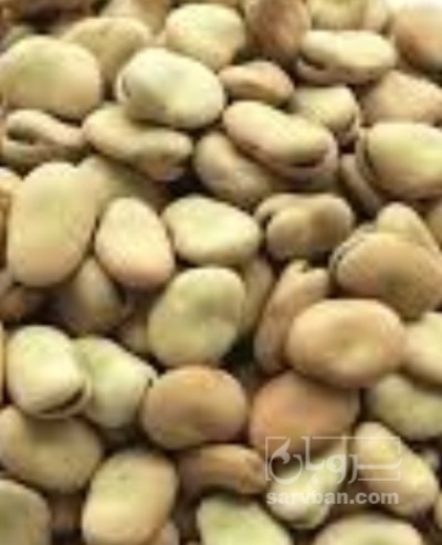 فروش باقلا تازه - باقالی - باقالا