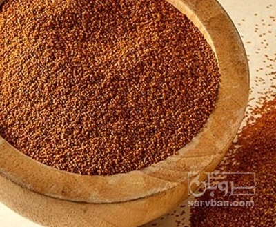 فروش خاکشیر (گیاه‌ دارویی)