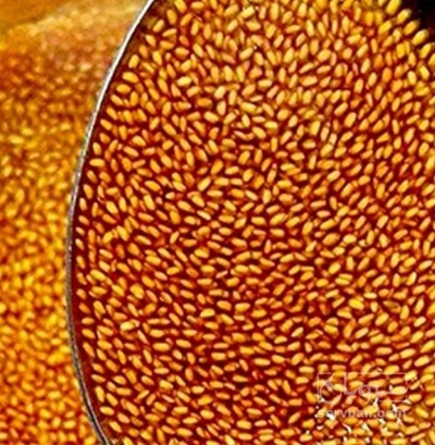 فروش خاکشیر (گیاه‌ دارویی)