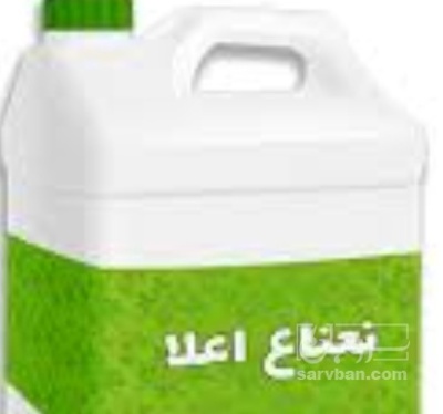 فروش عرق نعناع