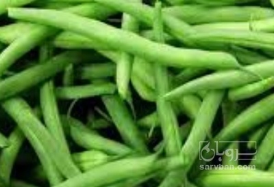 فروش لوبیا سبز
