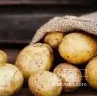 فروش سیب زمینی