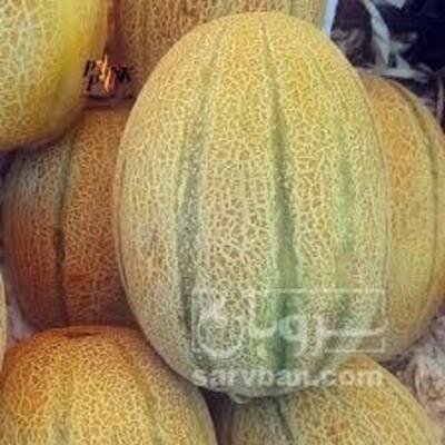 فروش طالبی جانا