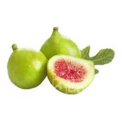 فروش انجیر