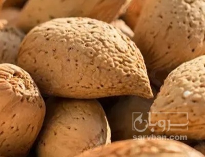 فروش بادام